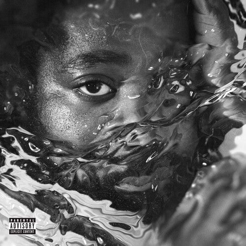 R.LUM.R - Surfacing [ Vinyl ]