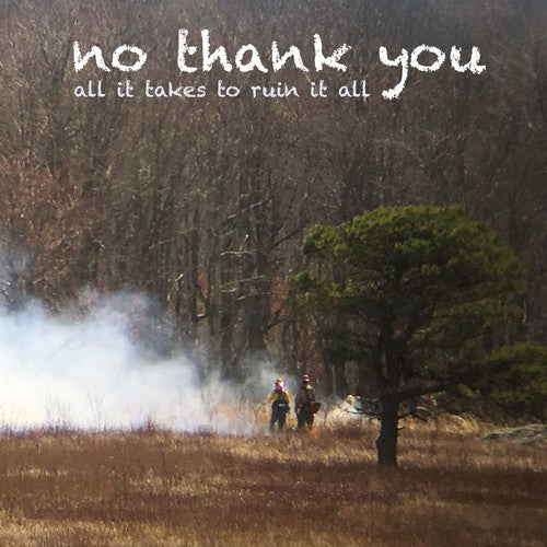 No Thank You - All It Takes To Ruin It All [ Vinyl ]