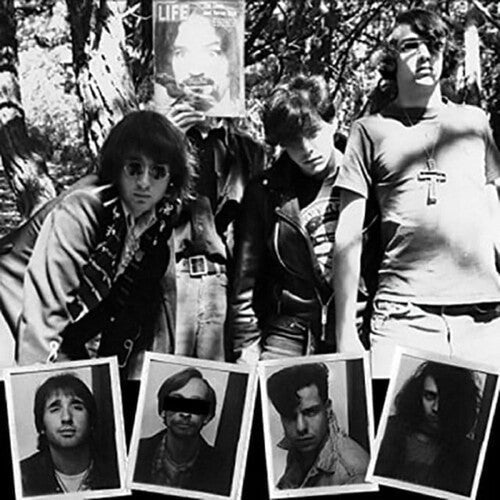 Dwarves - Lick It 1983-86 [ Vinyl ]