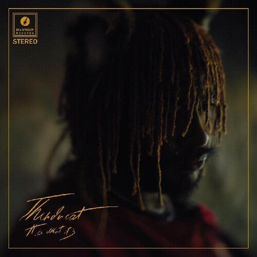 Thundercat - It Is What It Is [ Vinyl ]