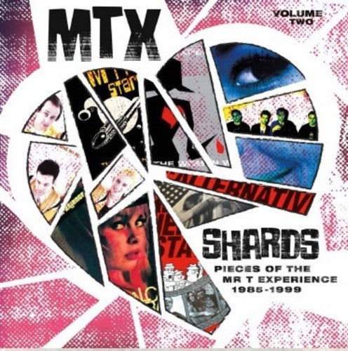 Mr T Experience - Shards Vol. 2 [ Vinyl ]
