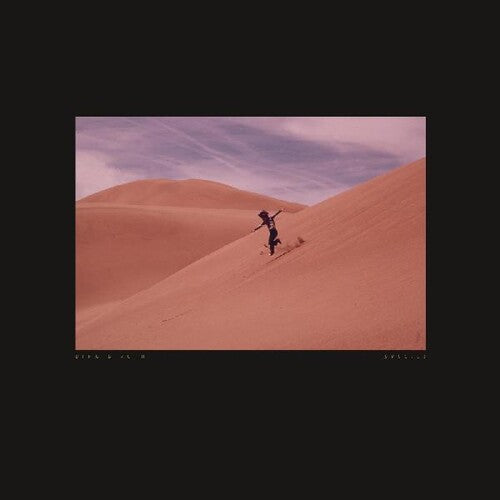Bing & Ruth - Species [ Vinyl ]