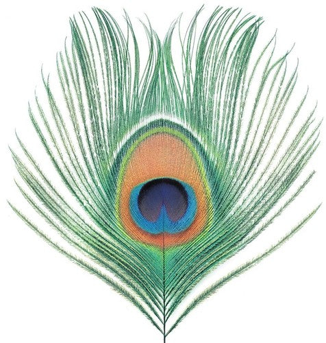 XTC - Apple Venus Vol 1 [ Vinyl ]