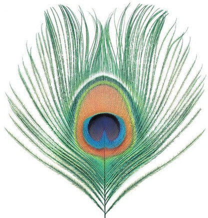 XTC - Apple Venus Vol 1 [ Vinyl ]