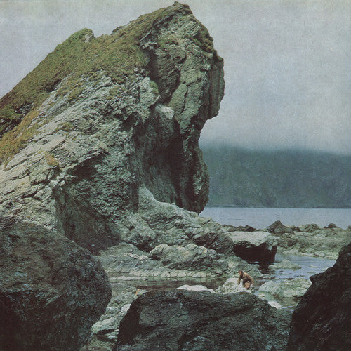 Motorama - Many Nights [ Vinyl ]
