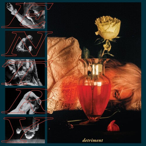 Entry - Detriment [ Vinyl ]