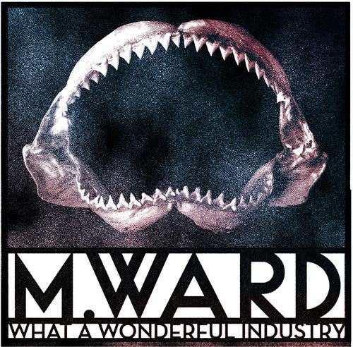 M. Ward - What a Wonderful Industry [ Vinyl ]
