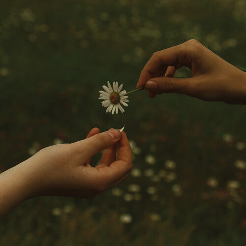 Goldmund - The Time it Takes (Transparent Marigold Orange Vinyl) [ Vinyl ]