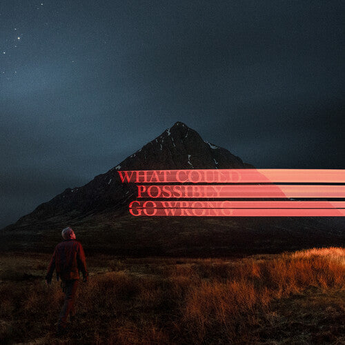 Dominic Fike - What Could Possibly Go Wrong [ Vinyl ]