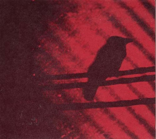 A Silver Mt. Zion - Born Into Trouble As the Sparks Fly Upward [ Vinyl ]