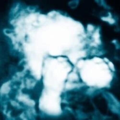 Sandra Monfort - Nino Reptil Angel [ Vinyl ]