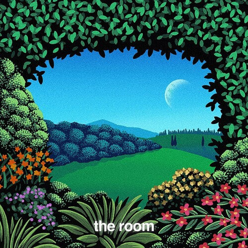 Ricky Reed - The Room [ Vinyl ]