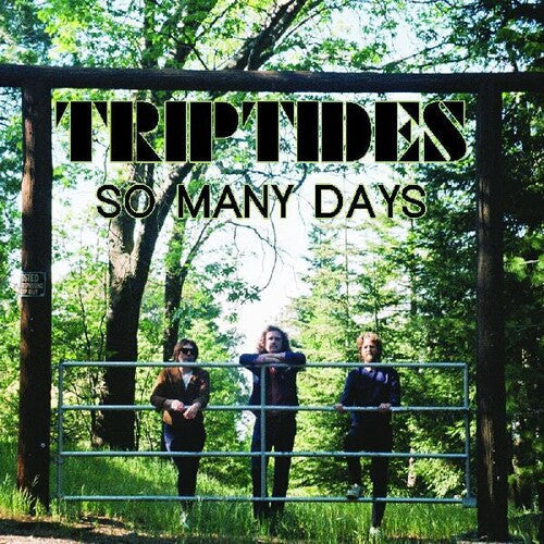 The Triptides - So Many Days [ Vinyl ]