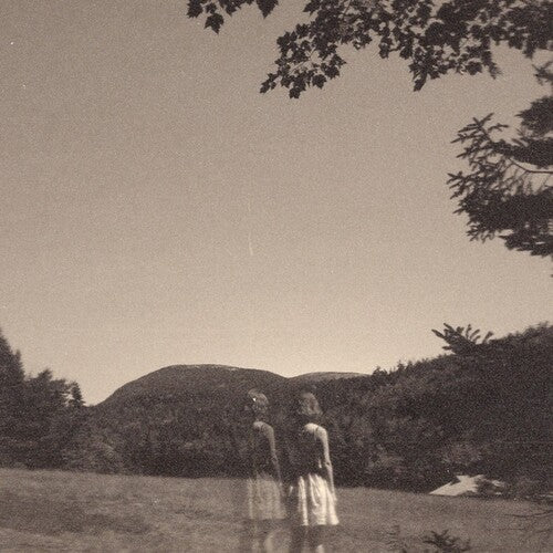 Goldmund - The Malady Of Elegance [ Vinyl ]