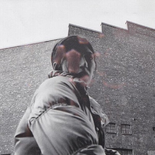 Aldous Harding - Warm Chris [ Vinyl ]