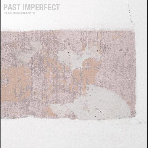 Tindersticks - Past Imperfect The Best Of Tindersticks '92-'21 [ Vinyl ]