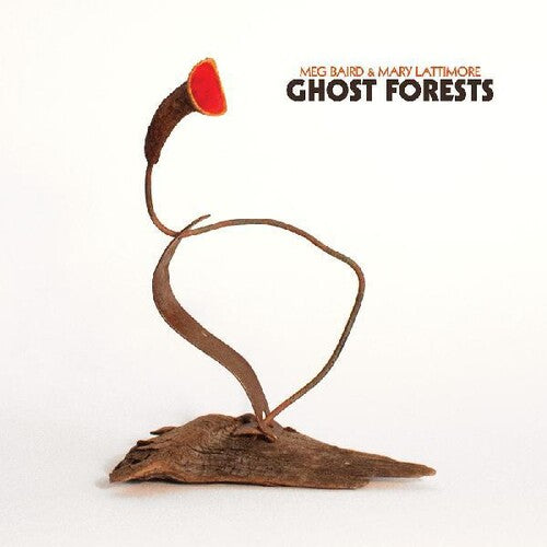 Ghost Forests [ Vinyl ]