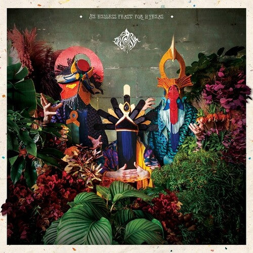 Decasia - An Endless Feast For Hyenas [ Vinyl ]