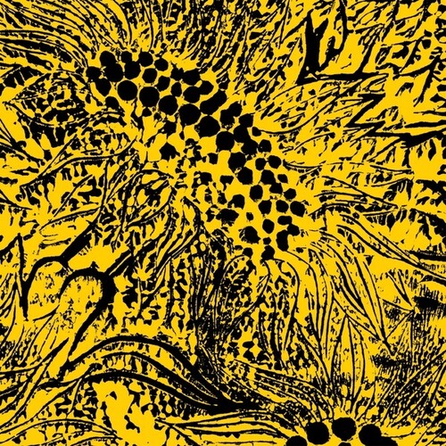 Little Sunflower [ Vinyl ]