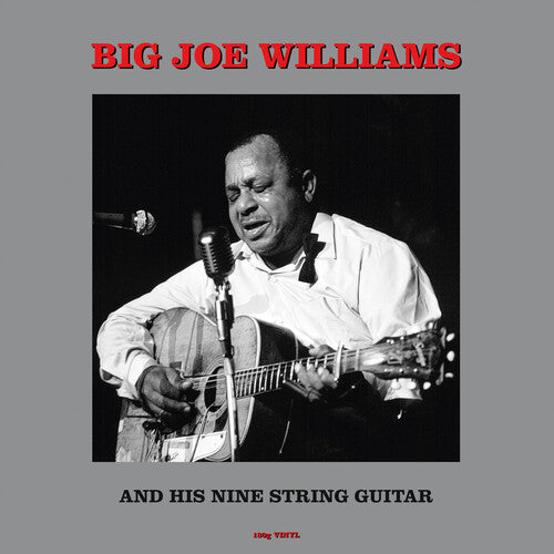 Big Joe Williams - And His Nine String Guitar (180gm Vinyl) [ Vinyl ]