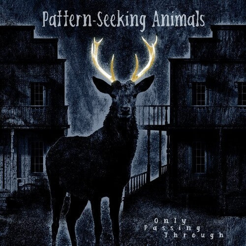 Pattern-Seeking Animals - Only Passing Through [ Vinyl ]