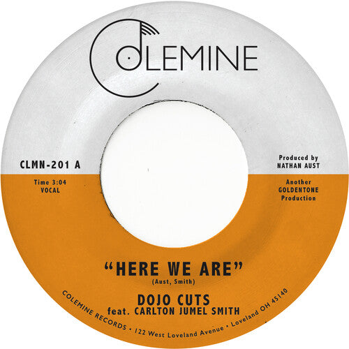 Dojo Cuts - Here We Are [ Vinyl ]