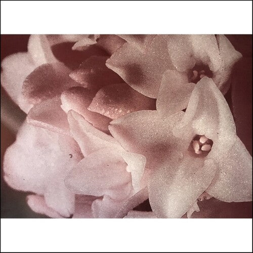 Masonna - Masonna Vs Banamara [ Vinyl ]