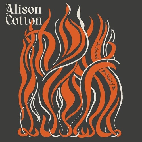 Alison Cotton - Portrait You Painted of Me [ Vinyl ]