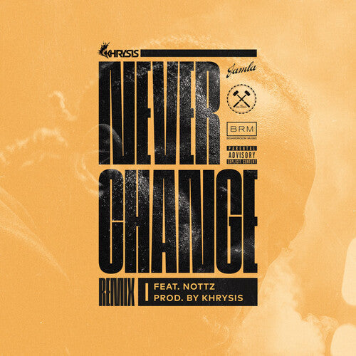 Khrysis - Never Change - Nottz Remix Thock Version [ Vinyl ]