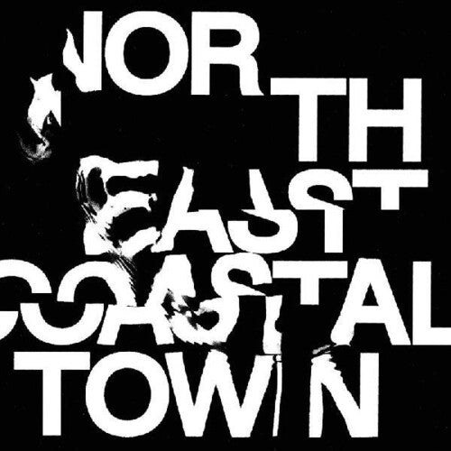 The Life - North East Coastal Town [ Vinyl ]