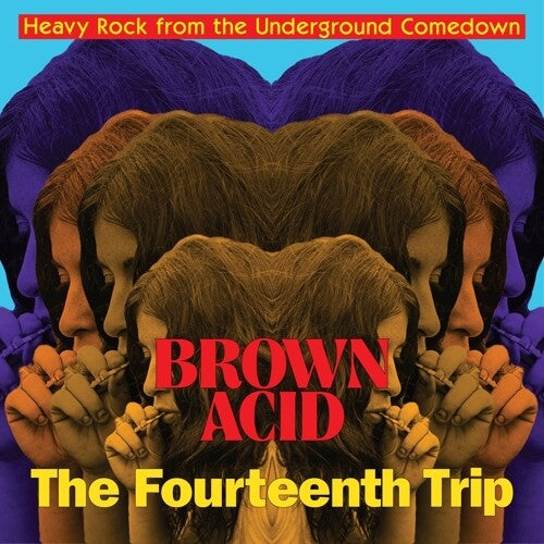 Brown Acid - Fourteenth Trip (various Artists) [ Vinyl ]