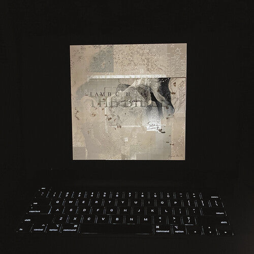 Lambchop - The Bible [ Vinyl ]