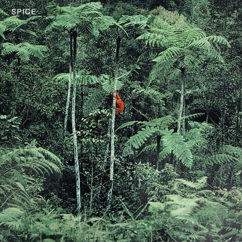 Spice - Spice - Grey [ Vinyl ]