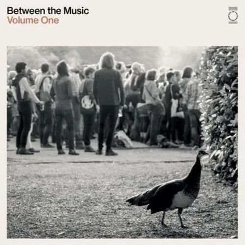 Various Artists - End Of The Road Presents: Between The Music / Various - White [ Vinyl ]