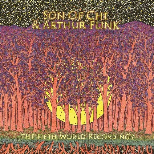 The Fifth World Recordings [ Vinyl ]