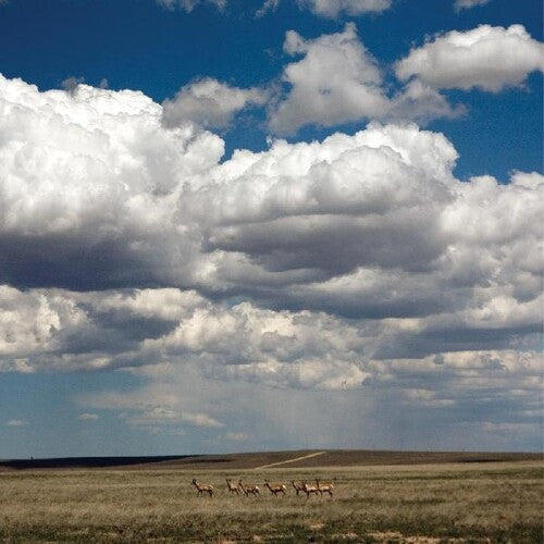 Fruit Bats - Tripper [White] [ Vinyl ]