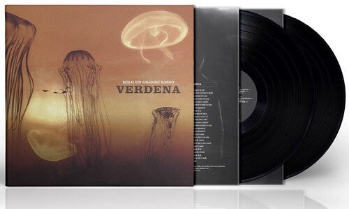 Verdena - Solo Un Grande Sasso [ Vinyl ]