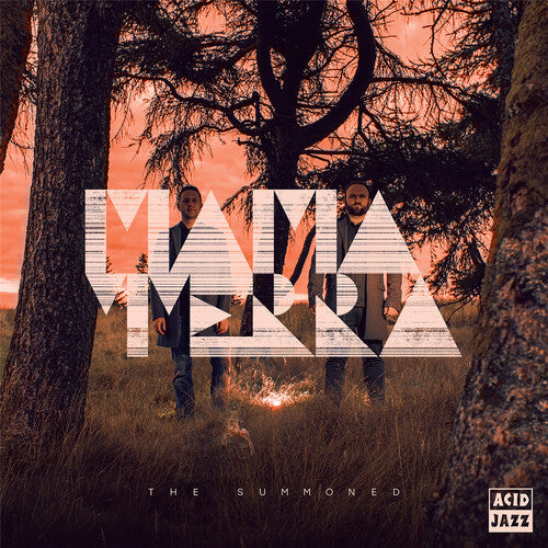 Mama Terra - The Summoned [ Vinyl ]