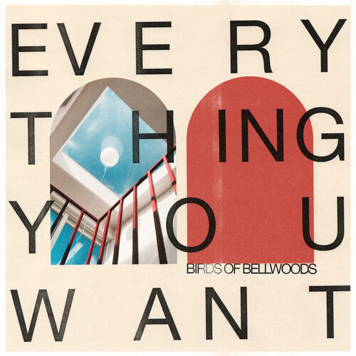 Birds of Bellwoods - Everything You Want [ Vinyl ]