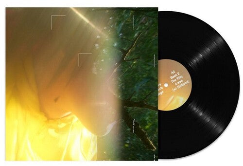 Tommy Holohan - Pulse Love : Heaven's Passage [ Vinyl ]