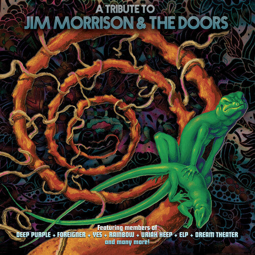 Various Artists - Tribute To Jim Morrison & The Doors (Various Artists) [ Vinyl ]