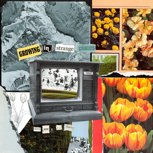 I'm Sorry Thank You - Growing In Strange Places - Orange Crush [ Vinyl ]