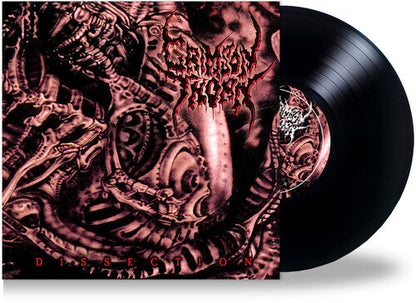 Crimson Thorn - Dissection [ Vinyl ]