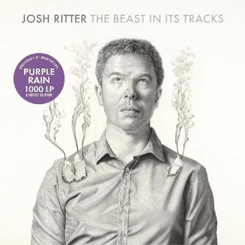 Josh Ritter - The Beast in Its Tracks [ Vinyl ]