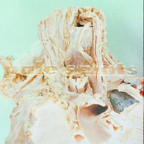 Pale Saints - In Ribbons [ Vinyl ]