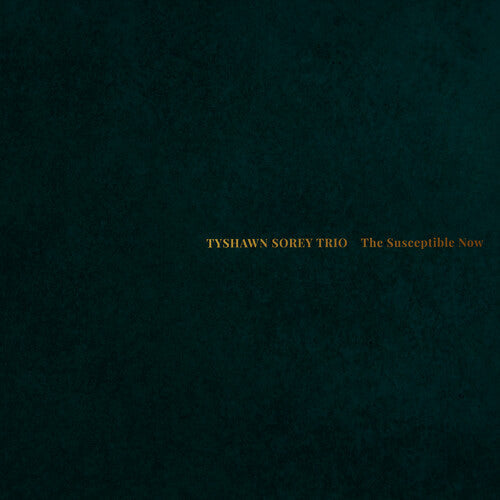 Tyshawn Sorey Trio - The Susceptible Now