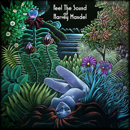 Harvey Mandel - Feel The Sound