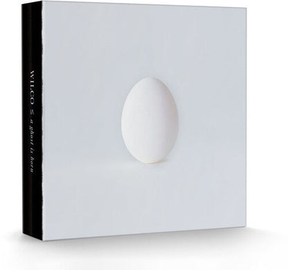 Wilco - A Ghost Is Born  [9LP Box Set]