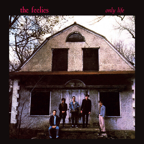 The Feelies - Only Life