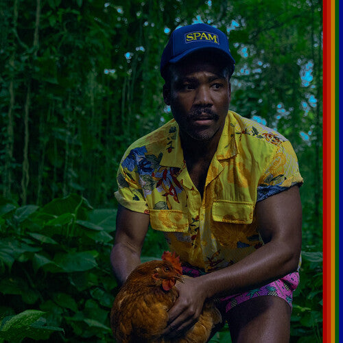 Childish Gambino - Bando Stone And The New World [2LP]